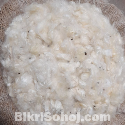 শিমুল তুলা